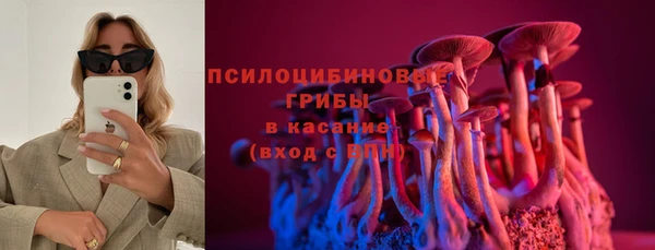 синтетический гашиш Алексеевка