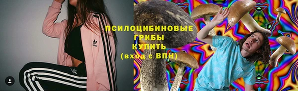 круглые Алзамай
