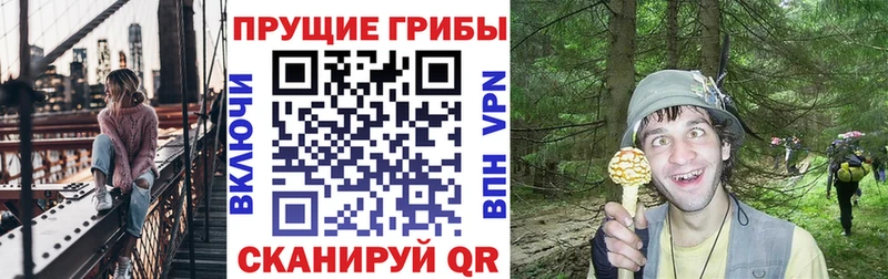 Галлюциногенные грибы мухоморы  Зверево 